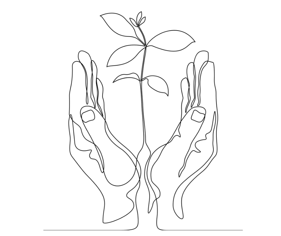 Line drawing illustration